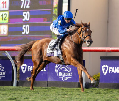 Notable Speech, horse, Dubawi (IRE), Breeders Cup Mile, sábado, 1 de noviembre de 2025, Del Mar. Foto: Benoit Photo / @benoitphoto_