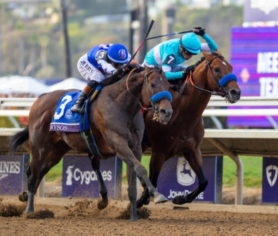 Nysos, horse, Nyquist, Breeders Cup Dirt Mile, sábado, 1 de noviembre de 2025, Del Mar Racing. Foto: Benoit Photo / @benoitphoto_