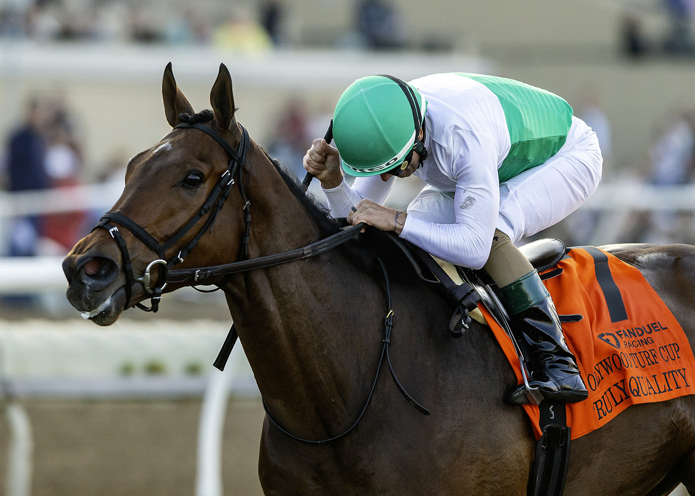 Truly Quality, Horses, Quality Road, Hollywood Turf Cup Stakes, viernes, 28 de noviembre de 2025, Del Mar. Foto: Benoit Photo