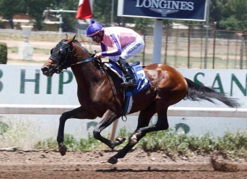 Good Deal, horse, Haras Matriarca, Clásico Mancomunidad de Australia, viernes, 19 de diciembre de 2025, Club Hípico de Santiago. Foto: Jaime Cortés