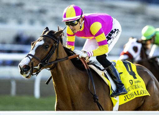 Just Aloof, Horses, Justify, Jimmy Durante Stakes, sábado, 29 de noviembre de 2025, Del Mar. Foto: Benoit Photo