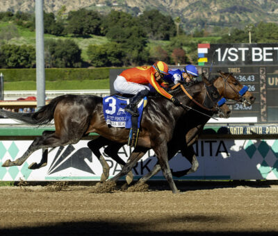 Nysos, horse, Nyquist, Laffit Pincay Jr. Stakes, domingo, 28 de diciembre de 2025, Santa Anita Park. Foto: Benoit Photo