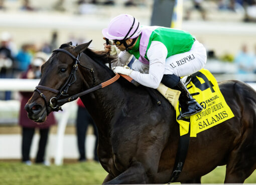 Salamis, Horses, Speigthstown, Hollywood Derby, sábado, 29 de noviembre de 2025, Del Mar. Foto: Benoit Photo