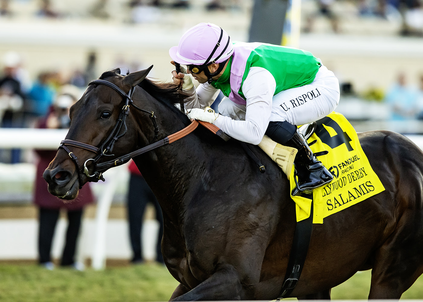 Salamis, Horses, Speigthstown, Hollywood Derby, sábado, 29 de noviembre de 2025, Del Mar. Foto: Benoit Photo