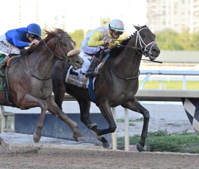 Skippylongstocking, horse, Exaggerator,Harlan´s Holiday Stakes, sábado, 20 de diciembre de 2025, Gulsftream Park. Foto: Coglianese Photo