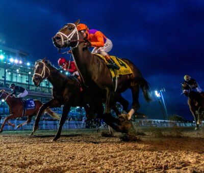 Accelerize, horse, Spendthrift Farm, Louisiana Stakes, sábado, 17 de enero de 2026, Fair Grounds. Foto: Hodges Photography
