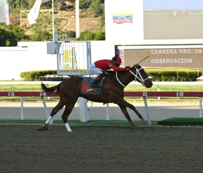 Banderas, horse, Haras Luisiana, Clásico Francisco De Miranda, domingo, 18 de enero de 2026, La Rinconada. Foto: José Antonio Aray