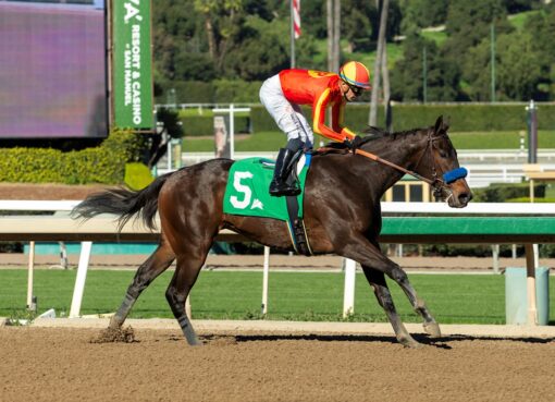 Explora, horses, Blame, San Vicente Stakes, sábado, 10 de enero de 2026, Santa Anita Park. Foto: Benoit Photo
