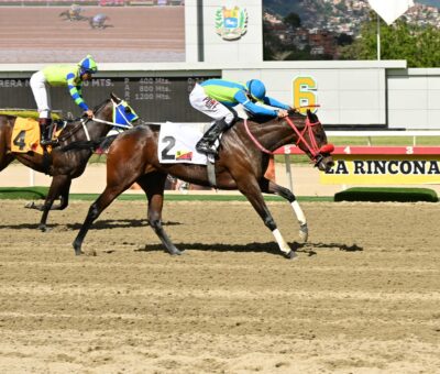Forever Beatriz, horse, Haras Los Samanes, Clásico Andrés Bello, domingo, 18 de enero de 2026, La Rinconada. Foto: José Antonio Aray