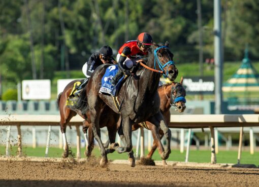 Margarita Girl, horses, Twirling Candy, Las Flores Stakes, domingo, 11 de enero de 2026, Santa Anita Park. Foto: Benoit Photo