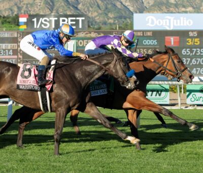 Paradise Lake, Horses, Repole Stables, Robert J. Frankel Stakes, jueves, 8 de diciembre de 2026, Santa Anita Park. Foto: Benoit Photo