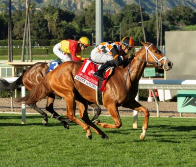 Queen Máxima, Horses, Bucchero, Las Ciénegas Stakes, domingo, 11 de enero de 2026, Santa Anita Park. Foto: Benoit Photo