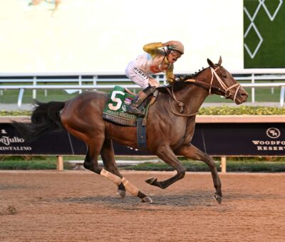Skippylongstocking, horse, Exaggerator, Pegasus World Cup, sábado, 24 de enero de 2026, Gulfstream Park. Foto: Coglaniese Photo