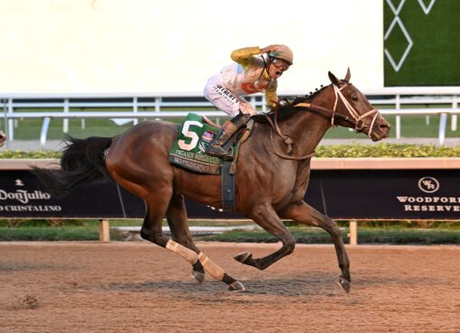 Skippylongstocking, horse, Exaggerator, Pegasus World Cup, sábado, 24 de enero de 2026, Gulfstream Park. Foto: Coglaniese Photo