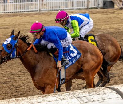 Bella Ballerina, horse, Street Sense, Rachel Alexandra Stakes, sábado, 14 de febrero de 2026, Fair Grounds. Foto: Hodges Photography
