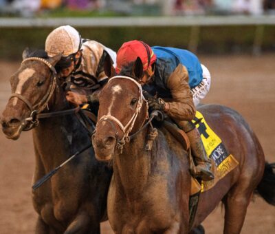 Commandment, horse, Into Mischief, Fountain Of Youth Stakes, sábado, 28 de febrero de 2026, Gulfstream Park. Foto: Coglaniese Photo & Ryan Thompson