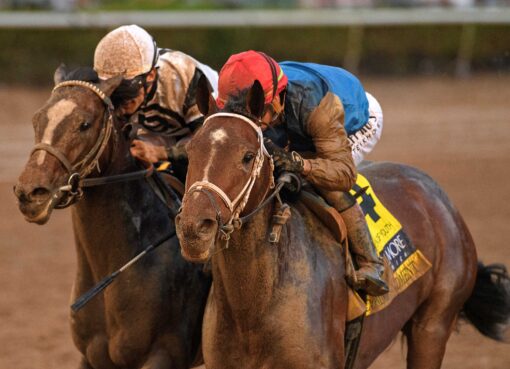 Commandment, horse, Into Mischief, Fountain Of Youth Stakes, sábado, 28 de febrero de 2026, Gulfstream Park. Foto: Coglaniese Photo & Ryan Thompson