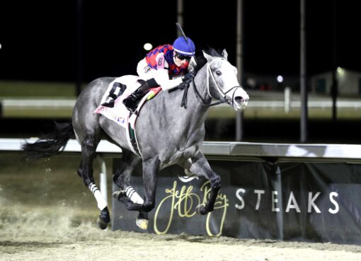 Great White, horse, Violence, John Battaglia Memorial Stakes, sábado, 21 de febrero de 2026, Turfway Park. Foto: Coady Media