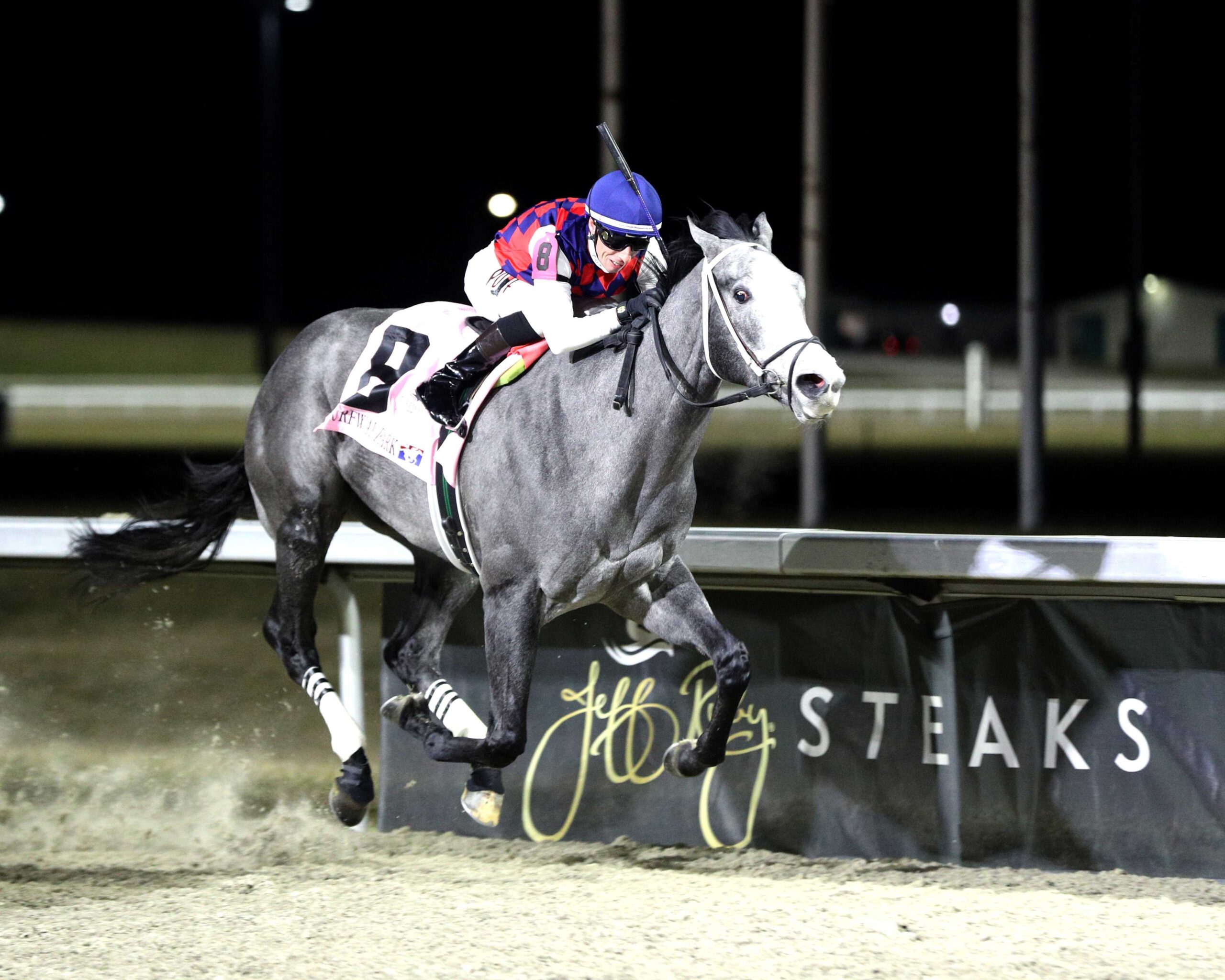 Great White, horse, Violence, John Battaglia Memorial Stakes, sábado, 21 de febrero de 2026, Turfway Park. Foto: Coady Media