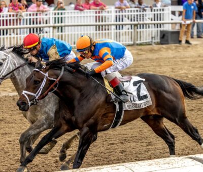 Hit Show, horse, Gary And Mary West, Mineshaft Stakes, sábado, 14 de febrero de 2026, Fair Grounds. Foto: Hodges Photography