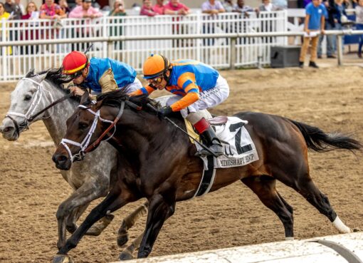 Hit Show, horse, Gary And Mary West, Mineshaft Stakes, sábado, 14 de febrero de 2026, Fair Grounds. Foto: Hodges Photography