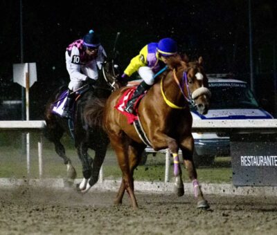 Ibrahim Gold, horses, María Fernanda Arteaga, carrera ordinaria, Hipódromo de Las Américas, sábado, sp de sp de 2025. Foto: Miguel Ángel Espinoza