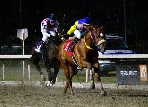 Ibrahim Gold, horses, María Fernanda Arteaga, carrera ordinaria, Hipódromo de Las Américas, sábado, sp de sp de 2025. Foto: Miguel Ángel Espinoza