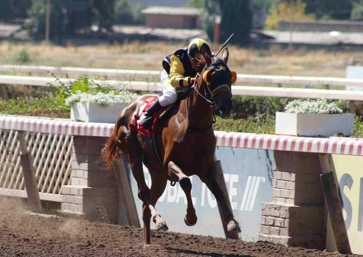 Mal Mirada, horses, Il Rey Iván, Hándicap, sábado, 7 de febrero de 2026, Hipódromo Chile. Foto: Jaime Cortés