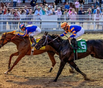 Paladín, horse, Summer Wind Equine, Risen Star Stakes, sábado, 14 de febrero de 2026, Fair Grounds. Foto: Hodges Photography