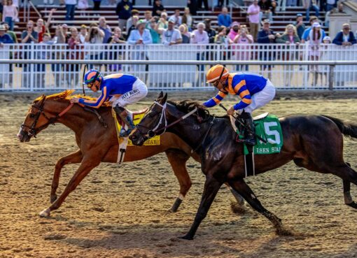 Paladín, horse, Summer Wind Equine, Risen Star Stakes, sábado, 14 de febrero de 2026, Fair Grounds. Foto: Hodges Photography