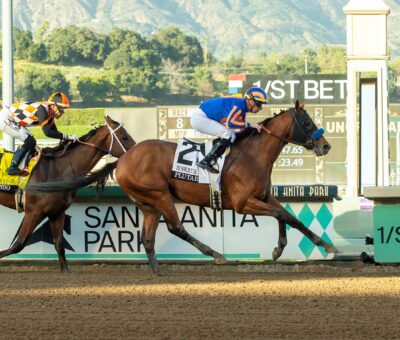 Plutarch, horse, Into Mischief, Robert B. Lewis, sábado, 7 de febrero de 2026, Santa Anita Park. Foto: Benoit Photo