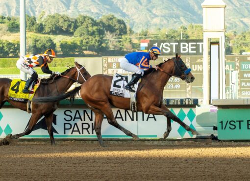 Plutarch, horse, Into Mischief, Robert B. Lewis, sábado, 7 de febrero de 2026, Santa Anita Park. Foto: Benoit Photo