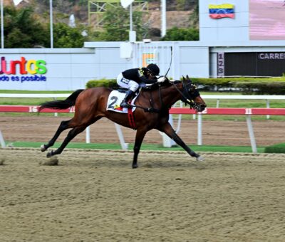 Rockville, horse, Bernardini, Clásico Hylander, domingo, 14 de febrero de 2026, La Rinconada. Foto: José Antonio Aray