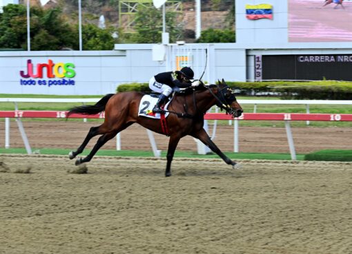 Rockville, horse, Bernardini, Clásico Hylander, domingo, 14 de febrero de 2026, La Rinconada. Foto: José Antonio Aray