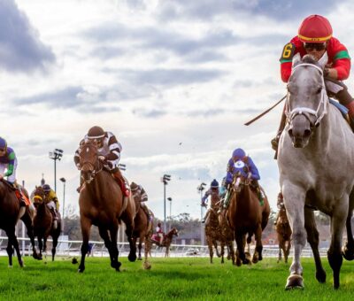 Shining Star, horse, Sahara Spirit, Mardi Grass Stakes, martes, 17 de febrero de 2026, Fair Grounds. Foto: Hodges Photography