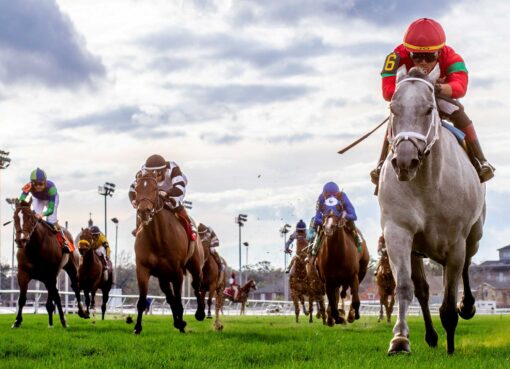 Shining Star, horse, Sahara Spirit, Mardi Grass Stakes, martes, 17 de febrero de 2026, Fair Grounds. Foto: Hodges Photography