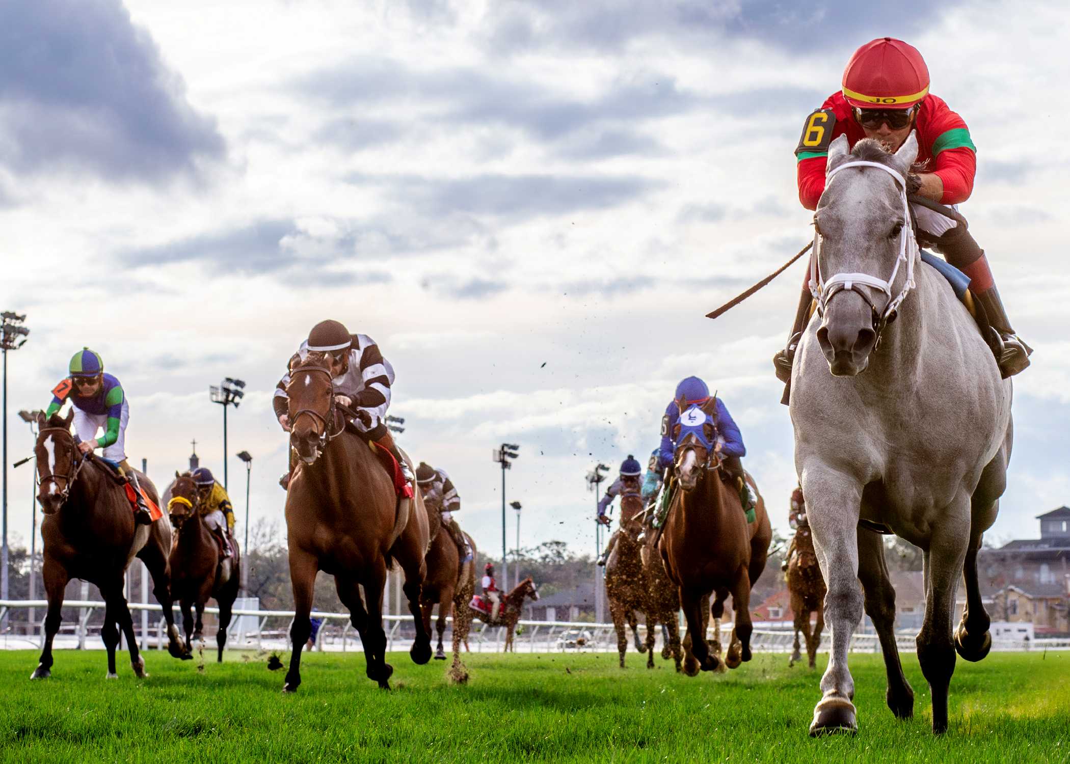 Shining Star, horse, Sahara Spirit, Mardi Grass Stakes, martes, 17 de febrero de 2026, Fair Grounds. Foto: Hodges Photography