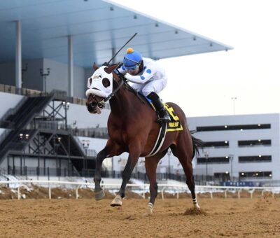 Talk To Me Jimmy, horse, Modernist, Withers Stakes, viernes, 6 de febrero de 2026, Aqueduct. Foto: Coglaniese Photo & Chelsea Durand