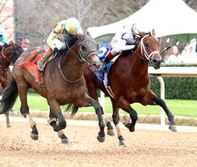Class President, horse, WinStar Farm, Rebel Stakes, domingo, 1 de marzo de 2026, Oaklawn Park. Foto: Coady Media