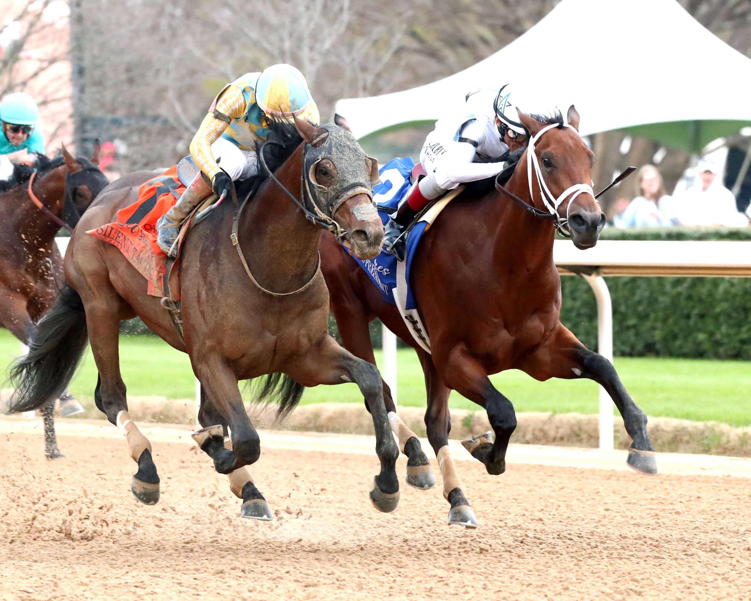 Class President, horse, WinStar Farm, Rebel Stakes, domingo, 1 de marzo de 2026, Oaklawn Park. Foto: Coady Media