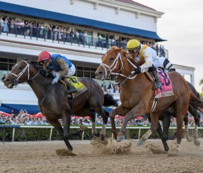 Commandment, horse, Into Mischief, Curlin Florida Derby, sábado, 28 de marzo de 2025, Gulfstream Park. Foto: Coglaniese Photo
