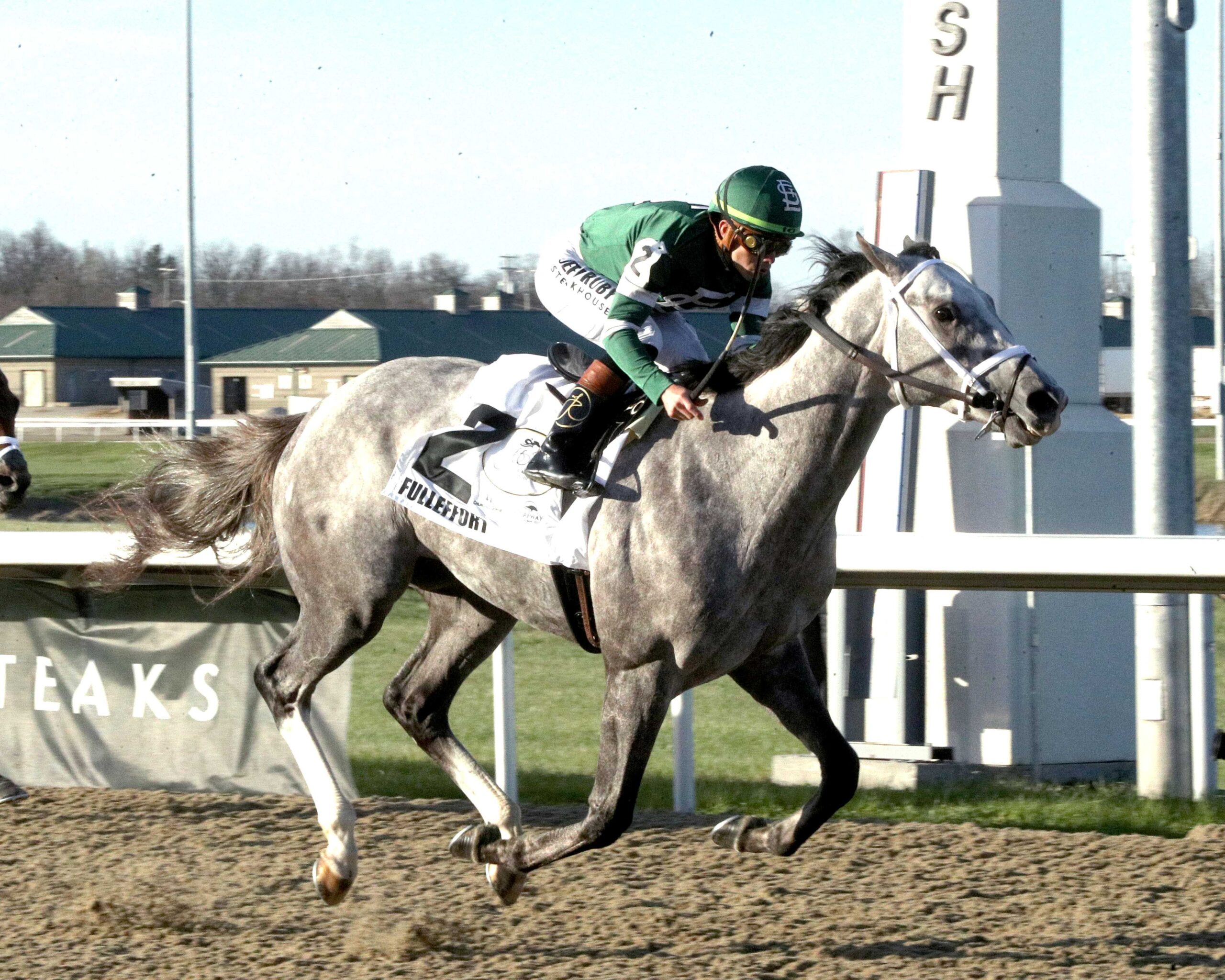 Fulleffort, horse, Starlight Racing, Jeff Ruby Stakes, sábado, 21 de marzo de 2026, Turfway Park. Foto: Coady Media