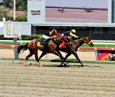 Farolera, horse, Destiny Oaks of Ocala, Clásico Ana María Freudman, domingo, 8 de marzo de 2026, La Rinconada. Foto: José Antonio Aray