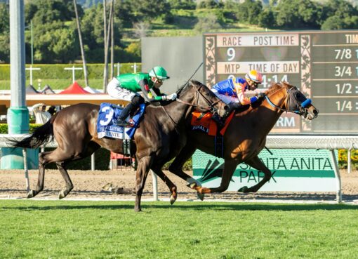 Final Boss, Horses, American Pharoah, Frank E. Kilroe Stakes, sábado, 7 de marzo de 2026, Santa Anita Park. Foto: Benoit Photo