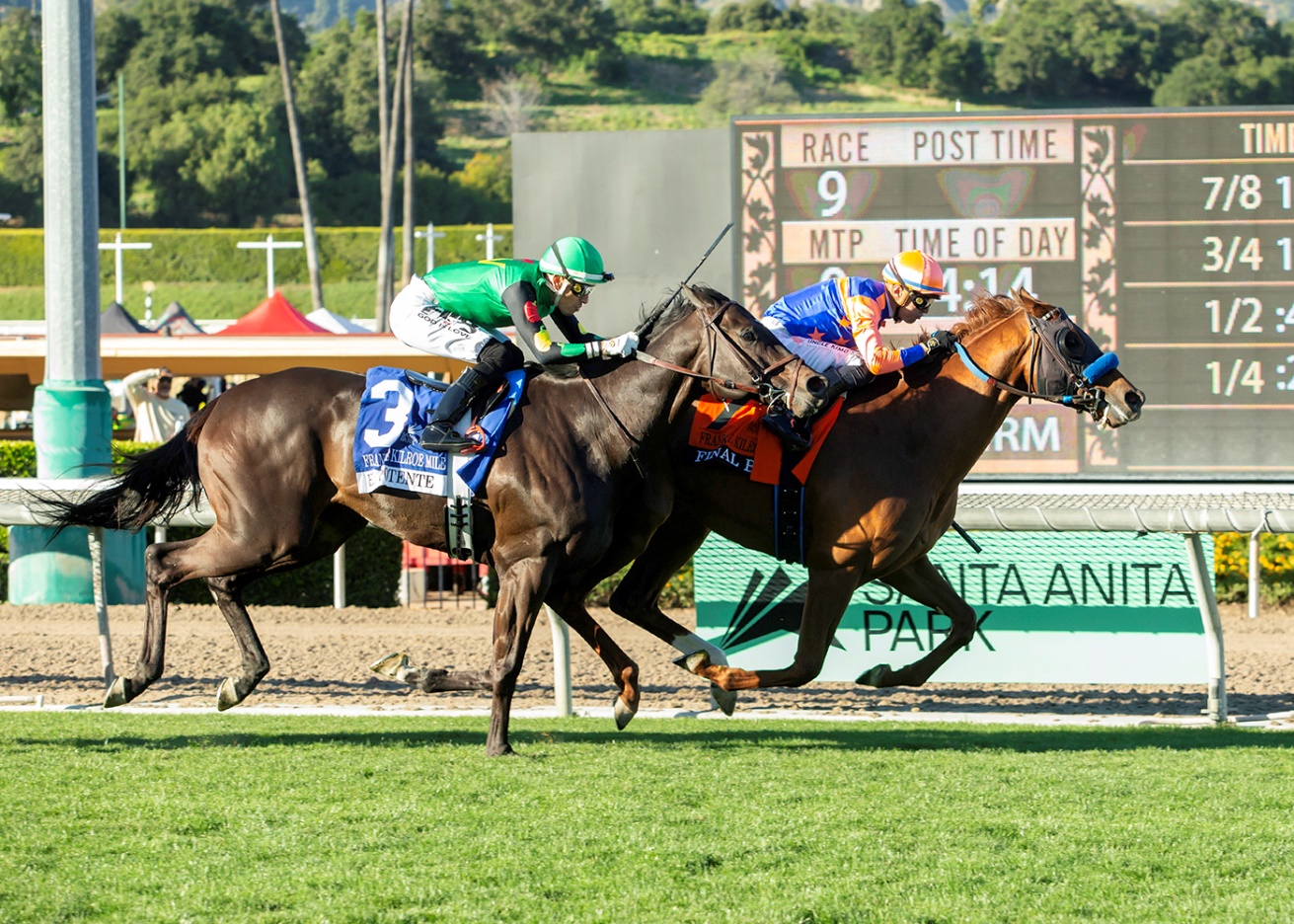 Final Boss, Horses, American Pharoah, Frank E. Kilroe Stakes, sábado, 7 de marzo de 2026, Santa Anita Park. Foto: Benoit Photo