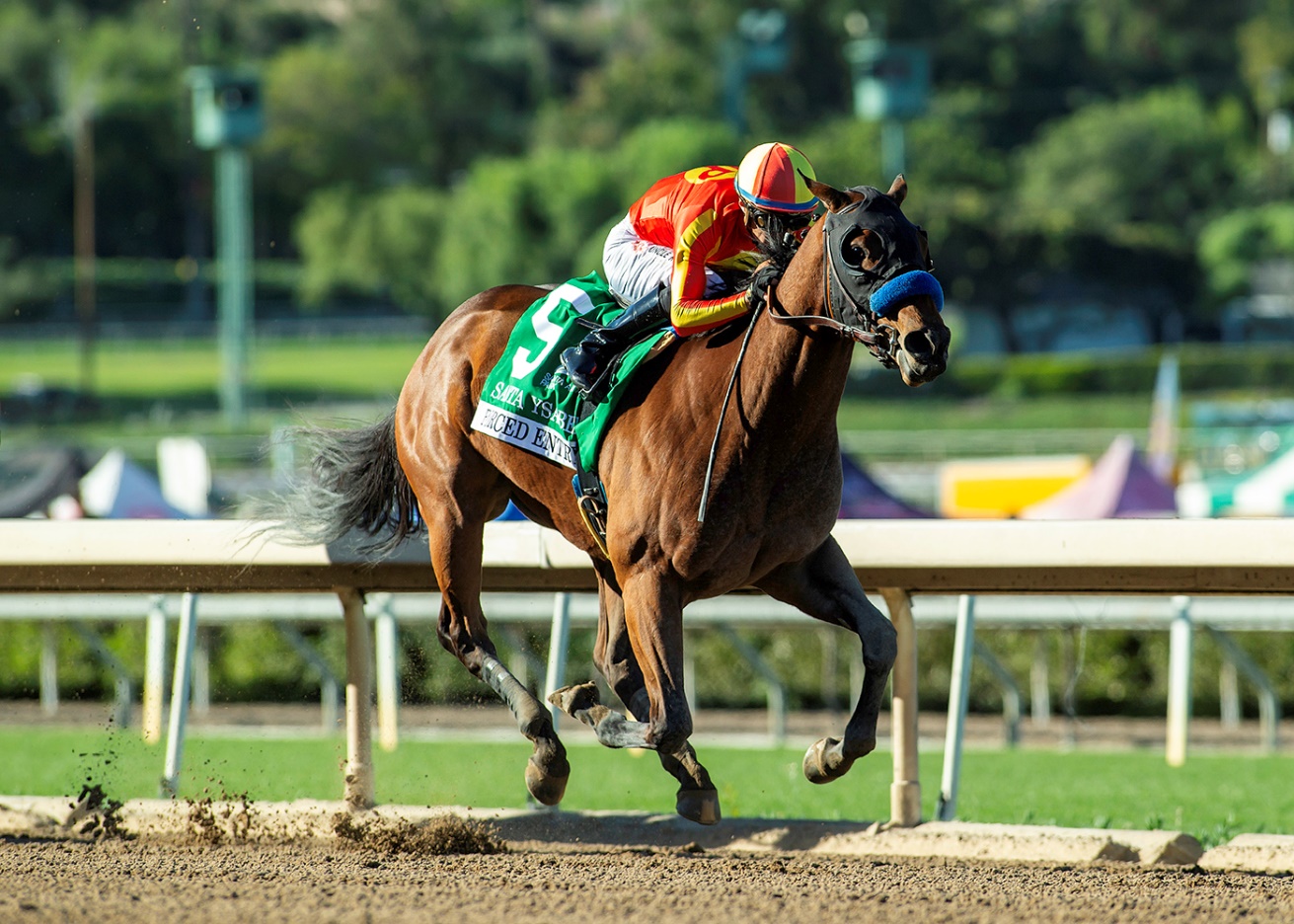 Forced Entry, Horses, Charlatan, Santa Ysabel Stakes, domingo, 8 de marzo de 2026, Santa Anita Park. Foto Benoit Photo