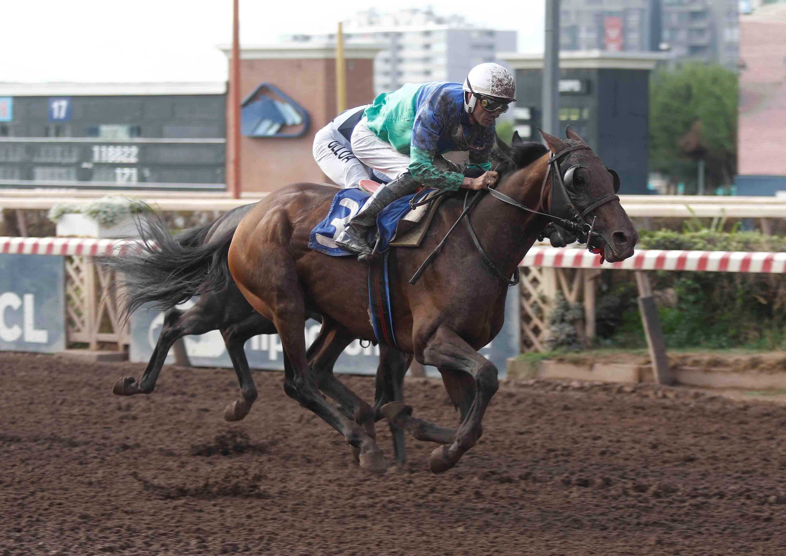 Good Runner, horse, Haras Matriarca, Clásico Alberto Benavente Benavente, sábado, 21 de marzo de 2026, Hipódromo Chile. Foto: Jaime Cortés