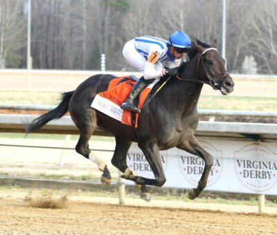 Incredibolt, horse, Pink Oak Stud, Virginia Derby, sábado, 14 de marzo de 2026, Colonial Downs. Foto: Coady Media