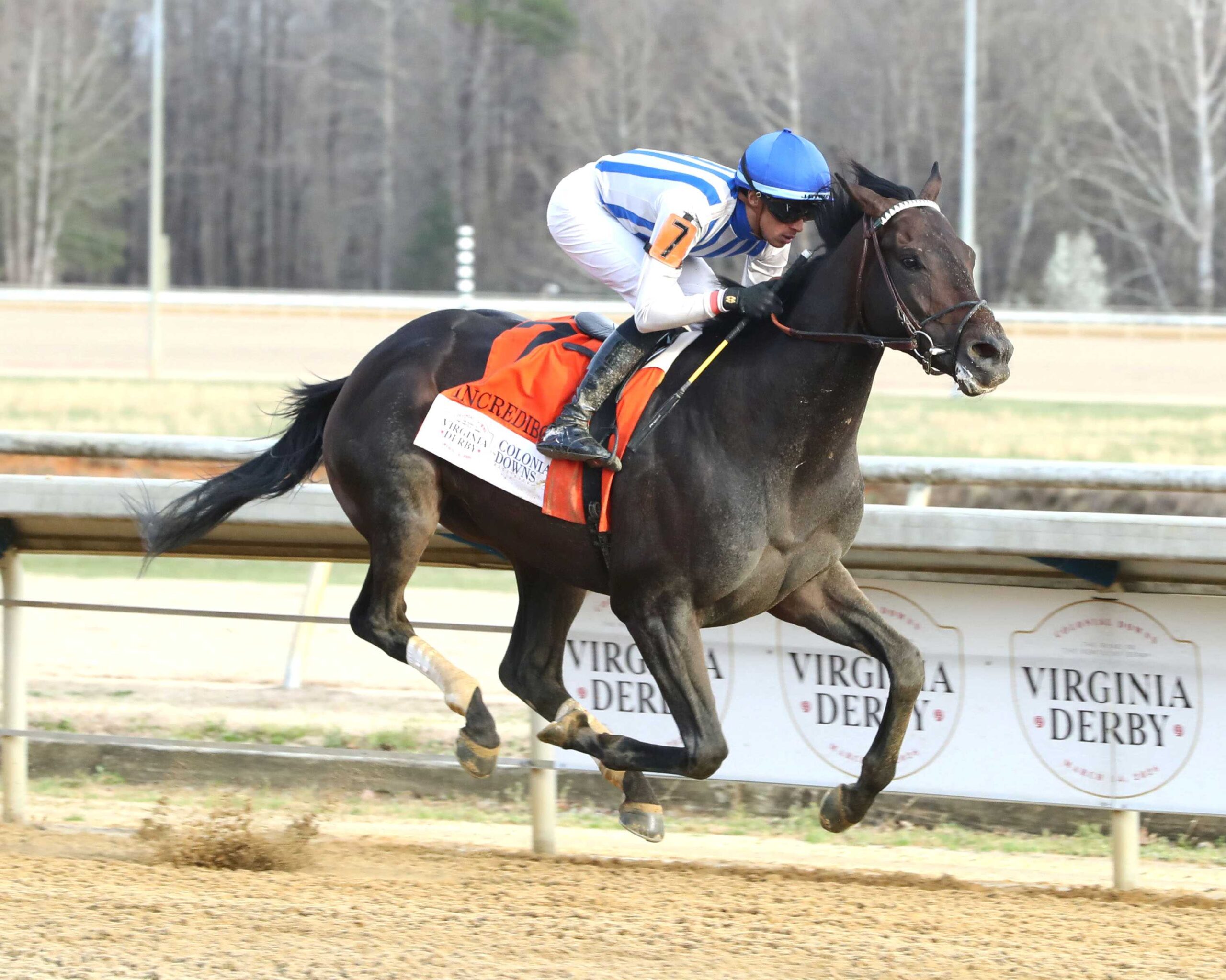 Incredibolt, horse, Pink Oak Stud, Virginia Derby, sábado, 14 de marzo de 2026, Colonial Downs. Foto: Coady Media