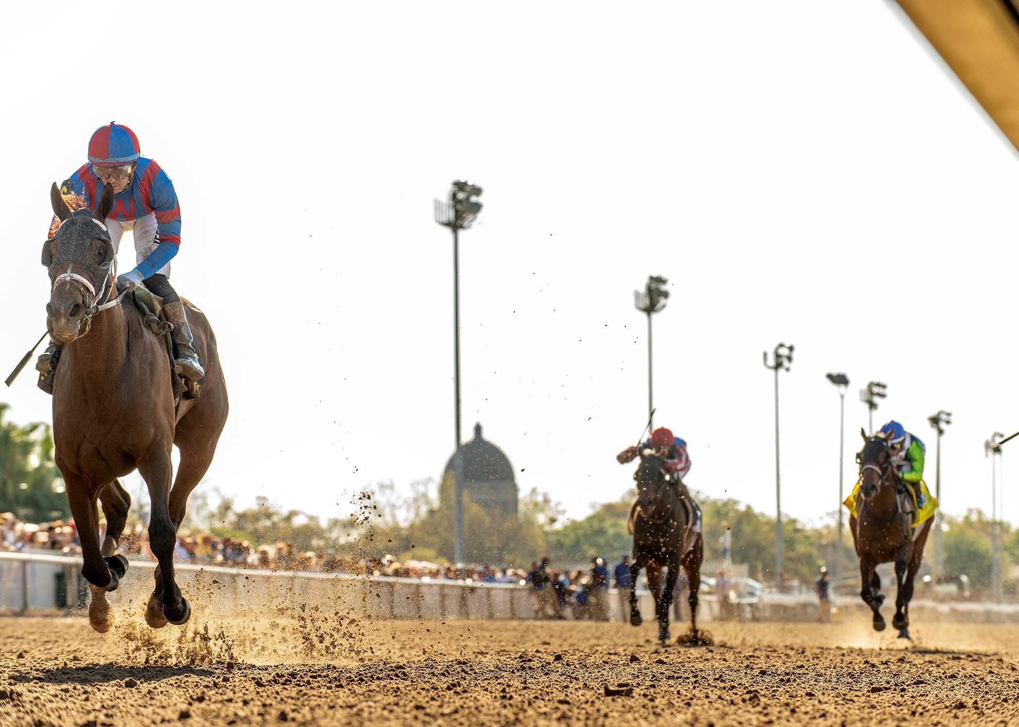 Life Of joy, horse, Springhouse Farm, Louisiana Oaks, sábado, 21 de marzo de 2026, Fair Grounds. Foto: Hodges Photography